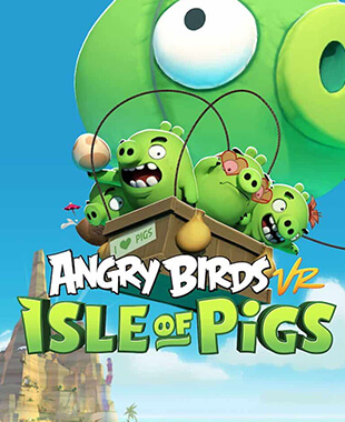VR Experience - Angry Birds